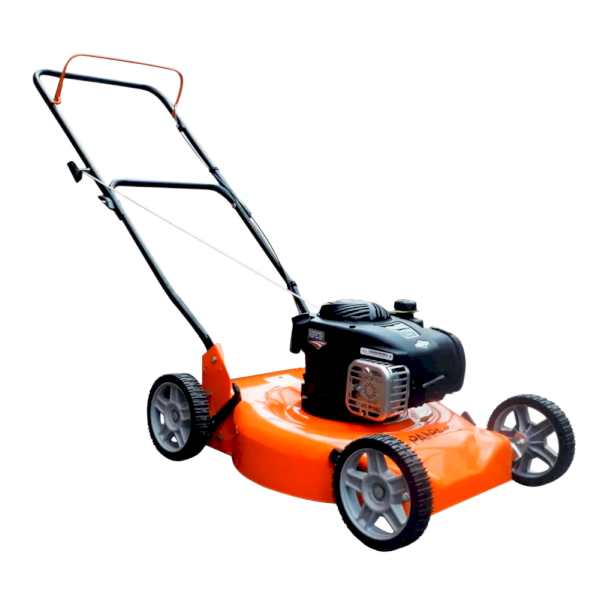 Cortadora De Césped pampa 22" B&S 650C/Reg