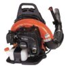 Soplador Mochila Echo Pb-755   63Cc