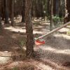 STIHL MOTOGUADAÑA FS 291 42CC. - Imagen 5