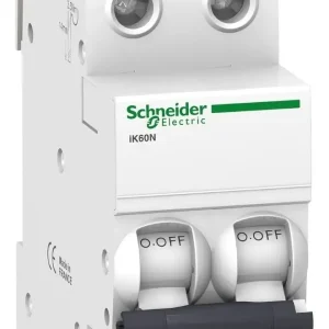 Interruptor Termomagnetico SCHNEIDER IK60N 2X10A C6KA