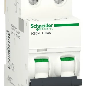 Interruptor Termomagnetico SCHNEIDER IK60N 2X63A C6KA