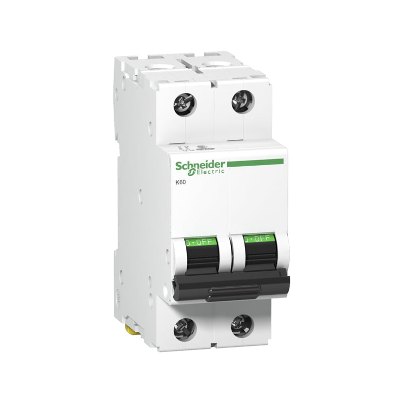 Interruptor Termográfico 2Polos 63a 6ka C