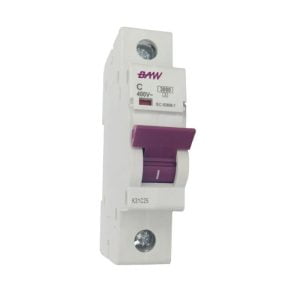 LLAVE TERMICA 1 X 10